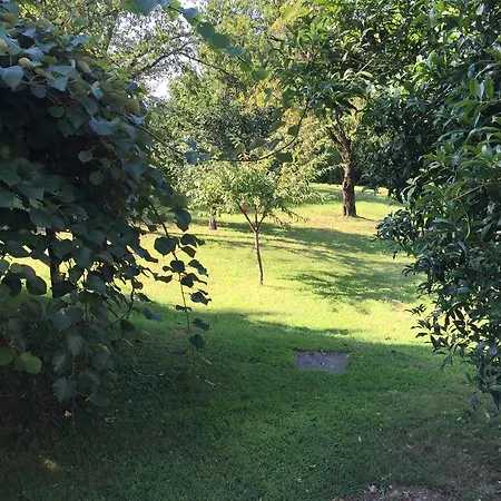 La Casa Creativa * Lomnago